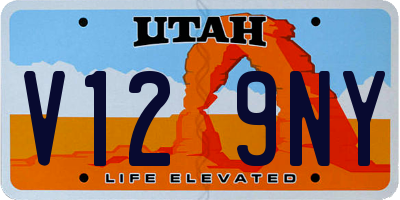 UT license plate V129NY