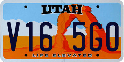 UT license plate V165GO
