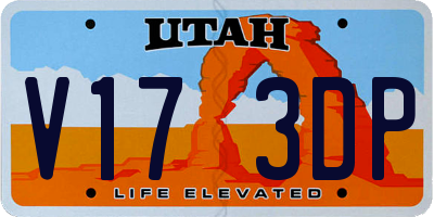 UT license plate V173DP