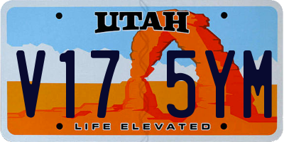 UT license plate V175YM