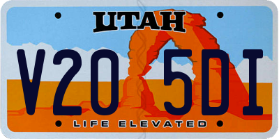 UT license plate V205DI