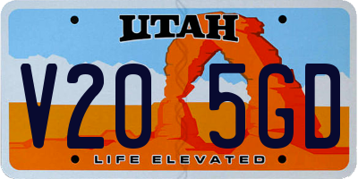 UT license plate V205GD
