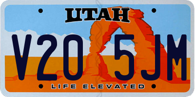 UT license plate V205JM