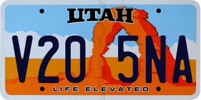 UT license plate V205NA
