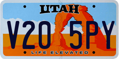 UT license plate V205PY