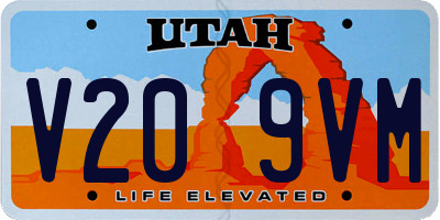 UT license plate V209VM