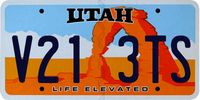 UT license plate V213TS