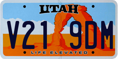 UT license plate V219DM
