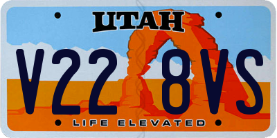 UT license plate V228VS