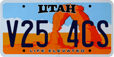 UT license plate V254CS