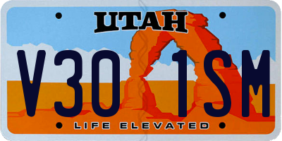 UT license plate V301SM