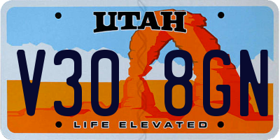 UT license plate V308GN