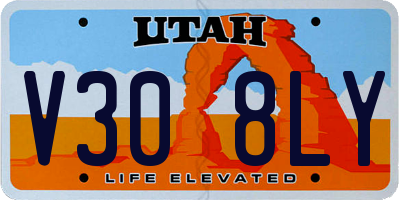 UT license plate V308LY