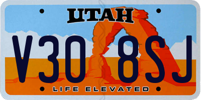 UT license plate V308SJ