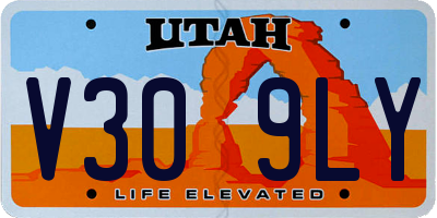 UT license plate V309LY
