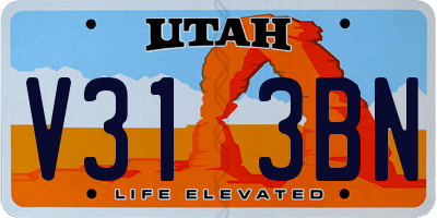 UT license plate V313BN