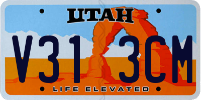 UT license plate V313CM