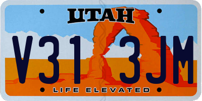 UT license plate V313JM