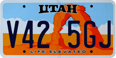 UT license plate V425GJ