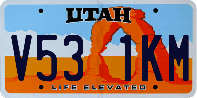 UT license plate V531KM