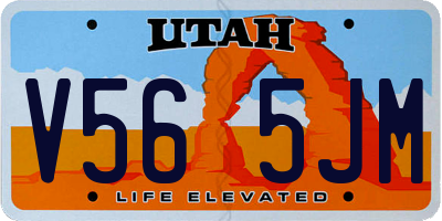 UT license plate V565JM