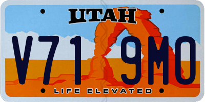 UT license plate V719MO
