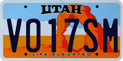 UT license plate VO17SM