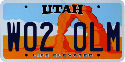UT license plate W020LM