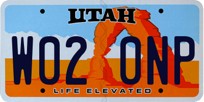 UT license plate W020NP