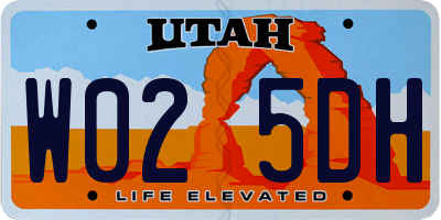 UT license plate W025DH