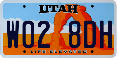 UT license plate W028DH