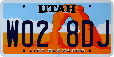 UT license plate W028DJ