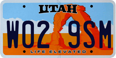 UT license plate W029SM