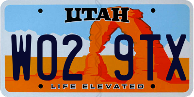UT license plate W029TX