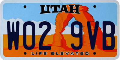 UT license plate W029VB