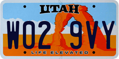 UT license plate W029VY