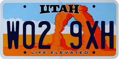 UT license plate W029XH