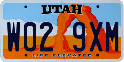 UT license plate W029XM