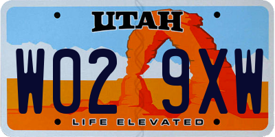UT license plate W029XW
