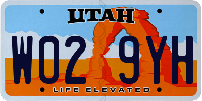 UT license plate W029YH