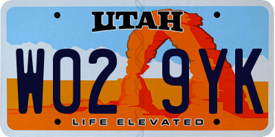 UT license plate W029YK