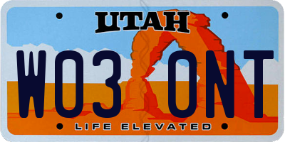 UT license plate W030NT