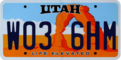 UT license plate W036HM