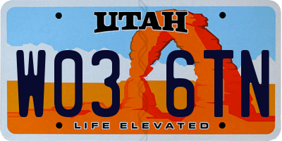 UT license plate W036TN