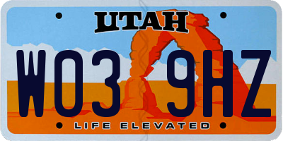 UT license plate W039HZ