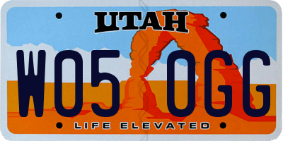 UT license plate W050GG