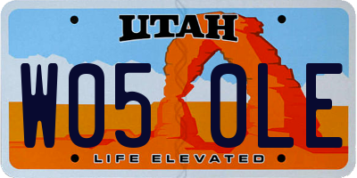 UT license plate W050LE