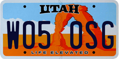 UT license plate W050SG