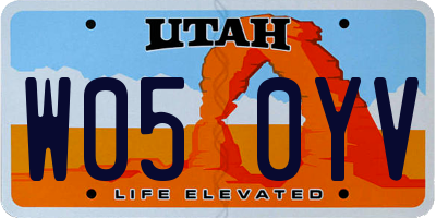 UT license plate W050YV