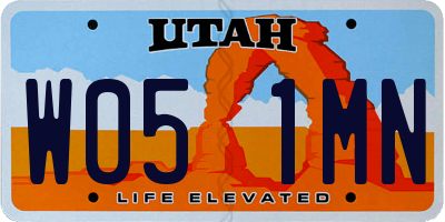 UT license plate W051MN
